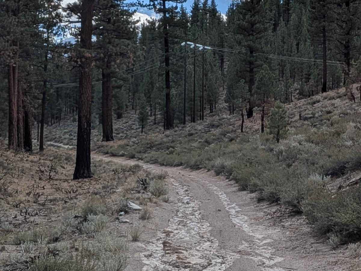 Pumice Canyon - FS 3S41 trail photo