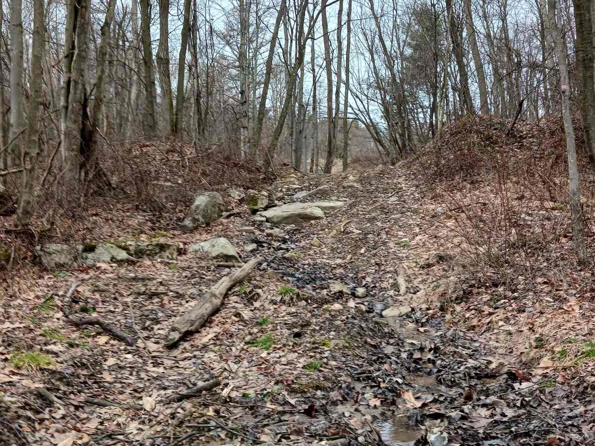 OHV 53 - Rock Run Recreation Area photo 2