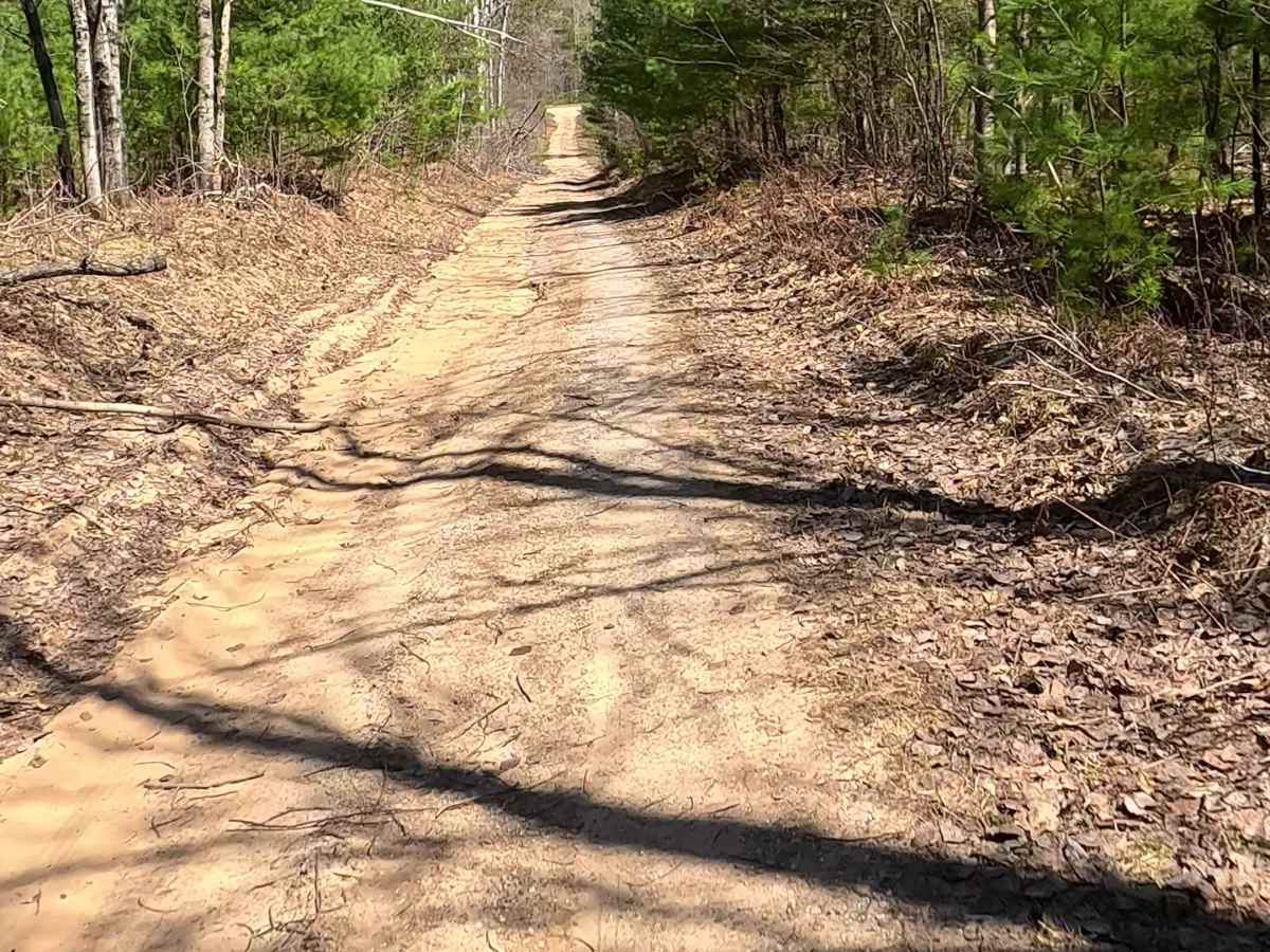 Old Baldy - FS 4979 photo 6