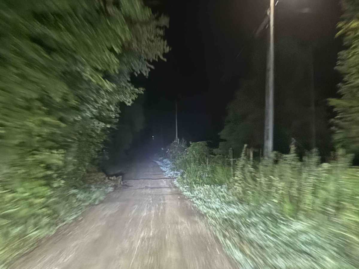 Fire Mountain Road photo 4