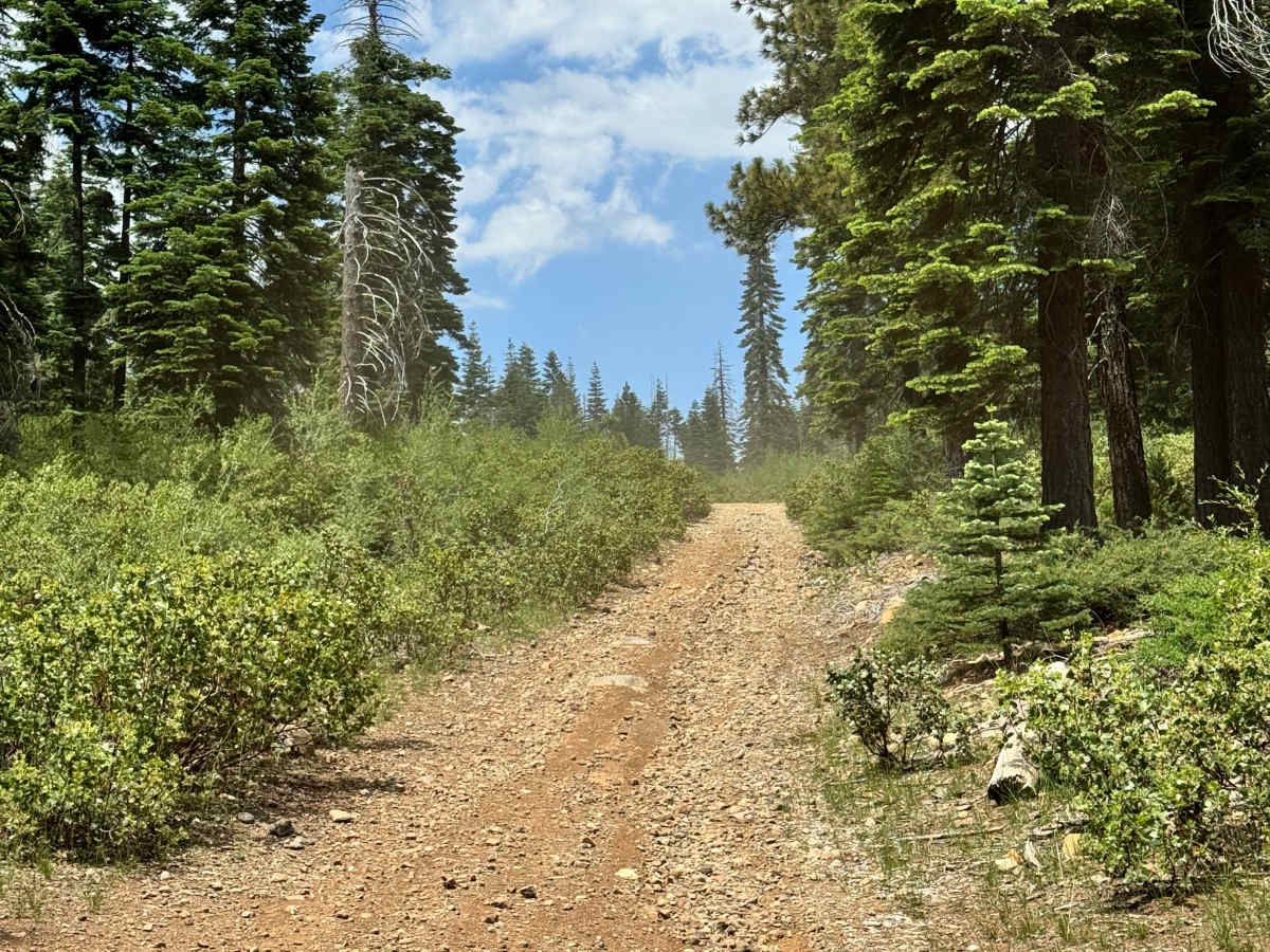 Westcott - FS 43 photo 5