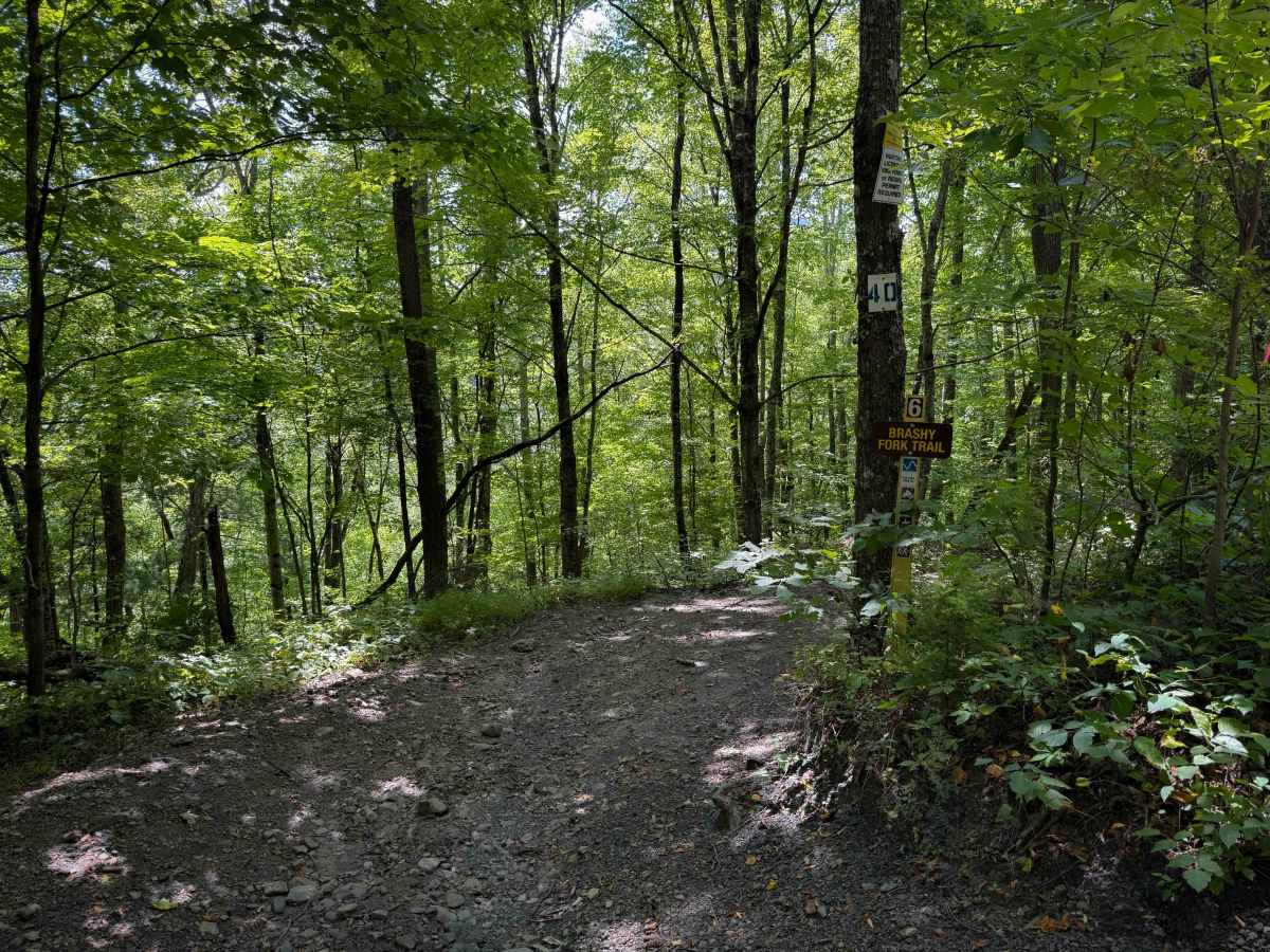 Brashy Fork Trail 6 photo 6