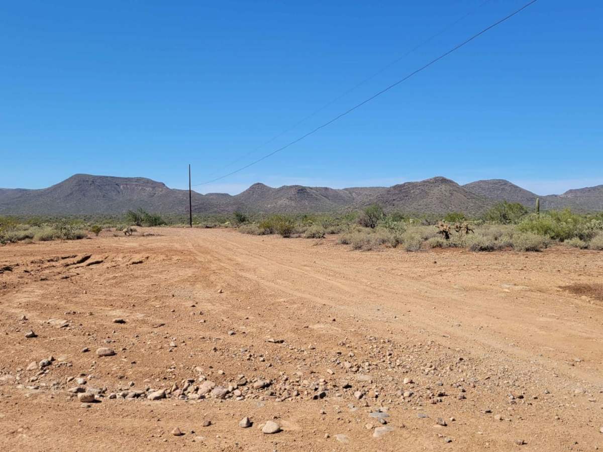 Cactus Express photo 3