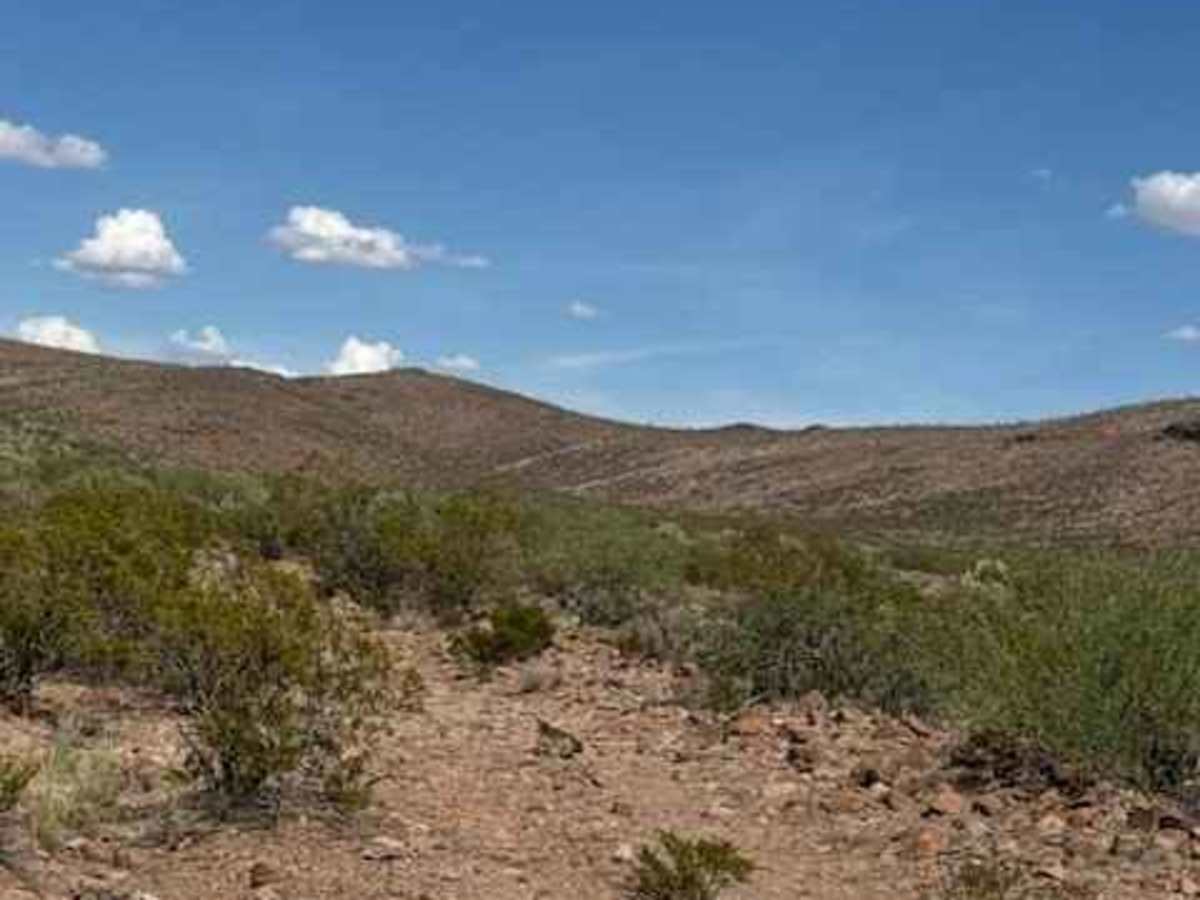 BLM PE1124 photo 3