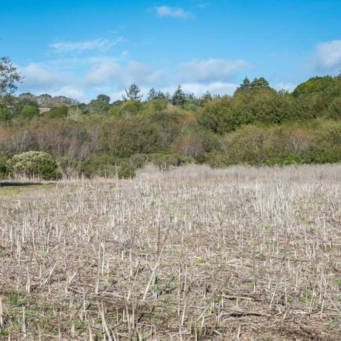 Near Cowboy Hiking Trail