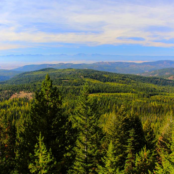 View of the Elkhorns to the west. Location on map is approximate. Near Elk Creek Trail #1944