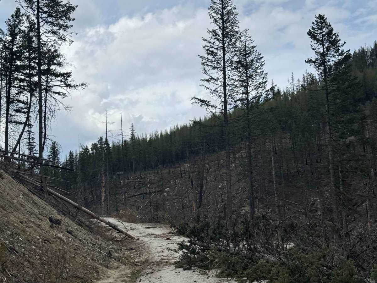 Goat Creek - FS 6100-215 photo 6