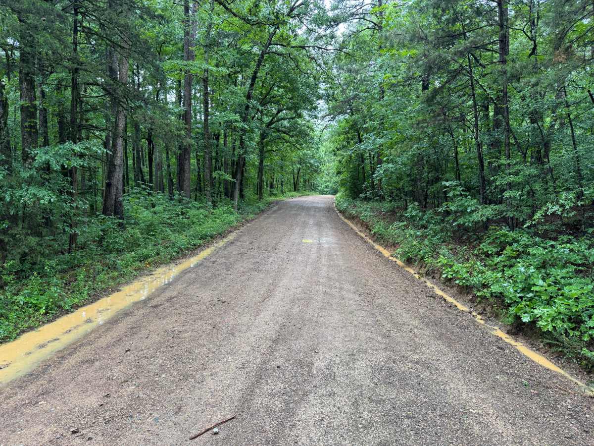Ryan Road photo 4