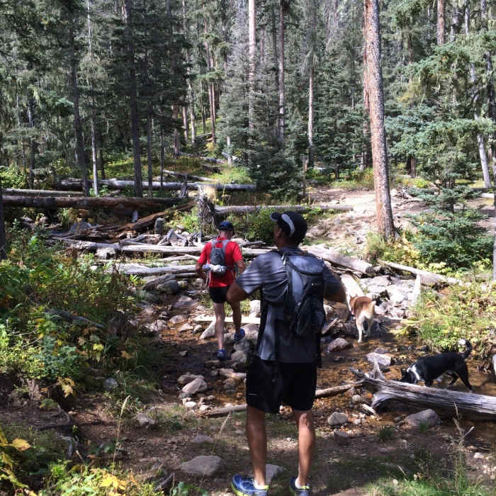 This looks like a good spot to re-fill with water! Near Holy Ghost Trail #283