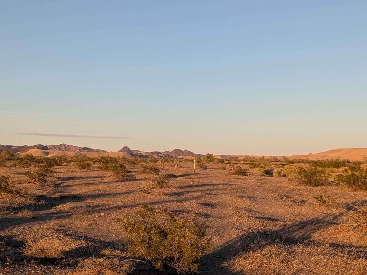 BLM 611 photo 3