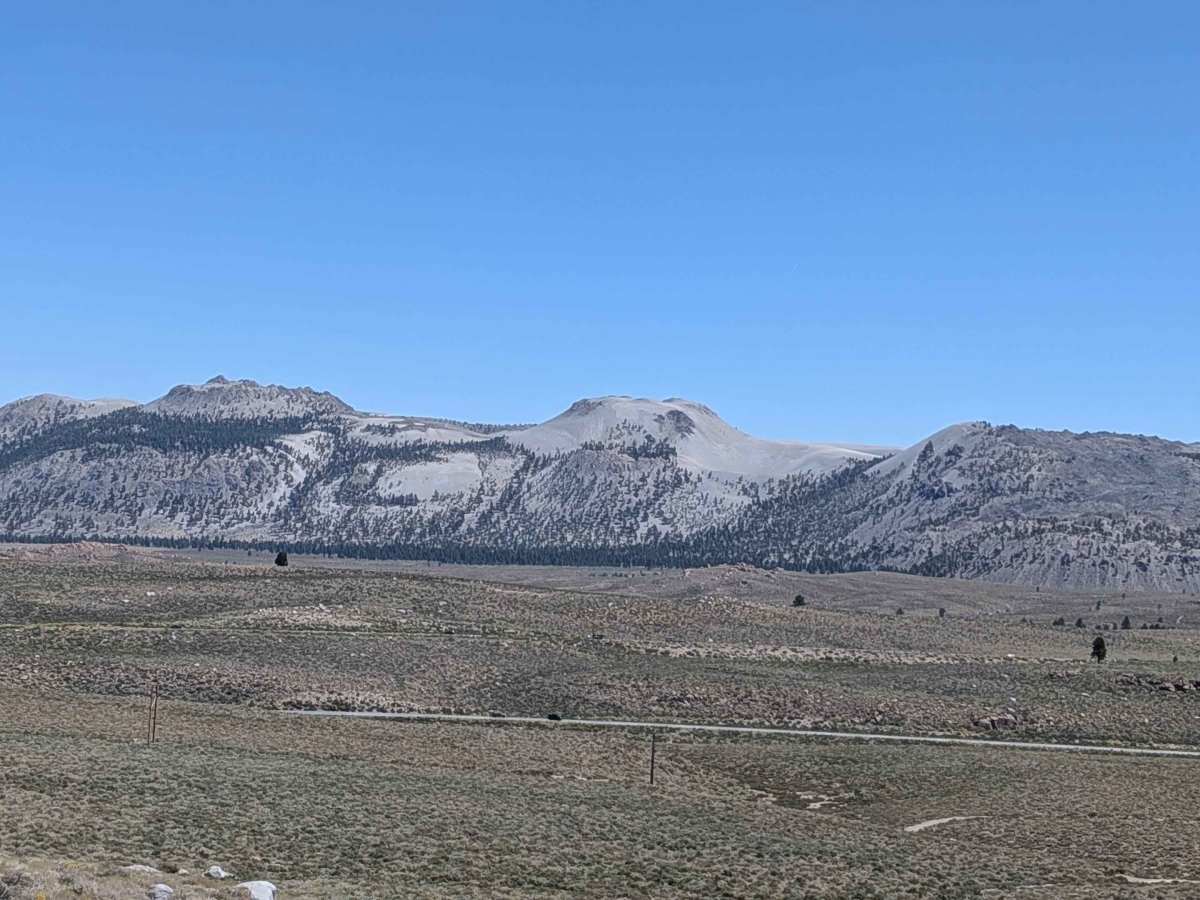 Reversed Peak - FS 1S31 trail photo