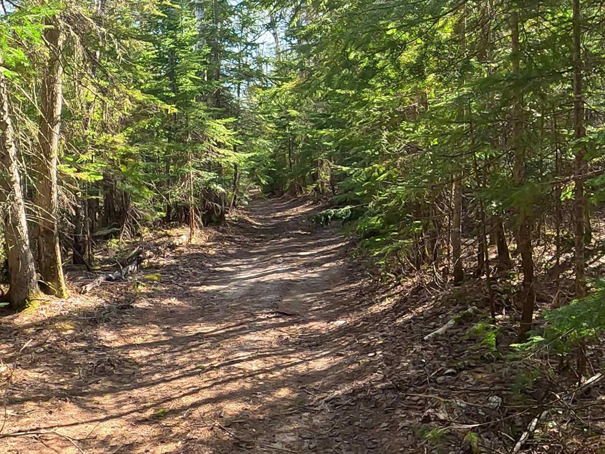 North Beaver Road photo 2