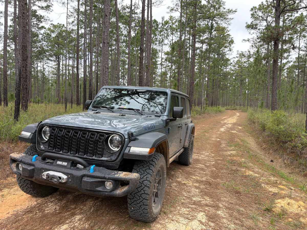 Jeff Capp Road - C133 photo 6