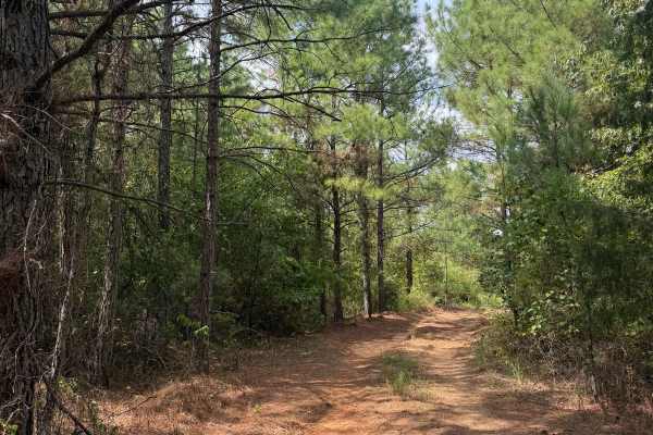 Oak Mountain Road