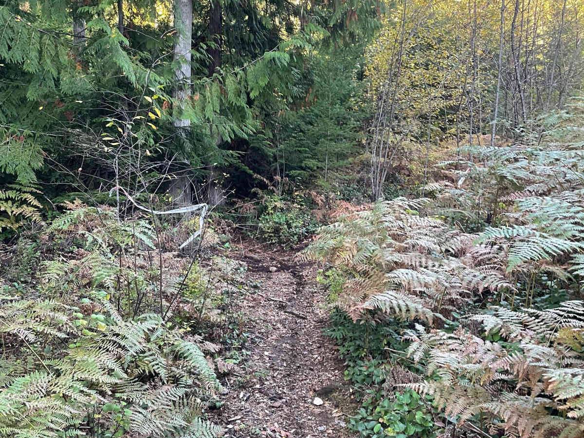 Hayden's Trail Connector photo 6