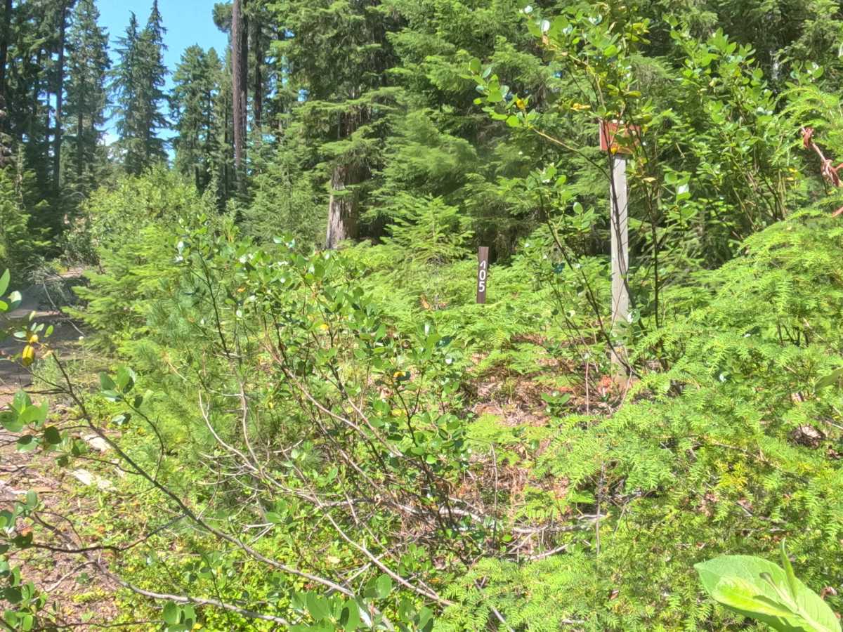 East Ofay - FS 2261405 trail photo
