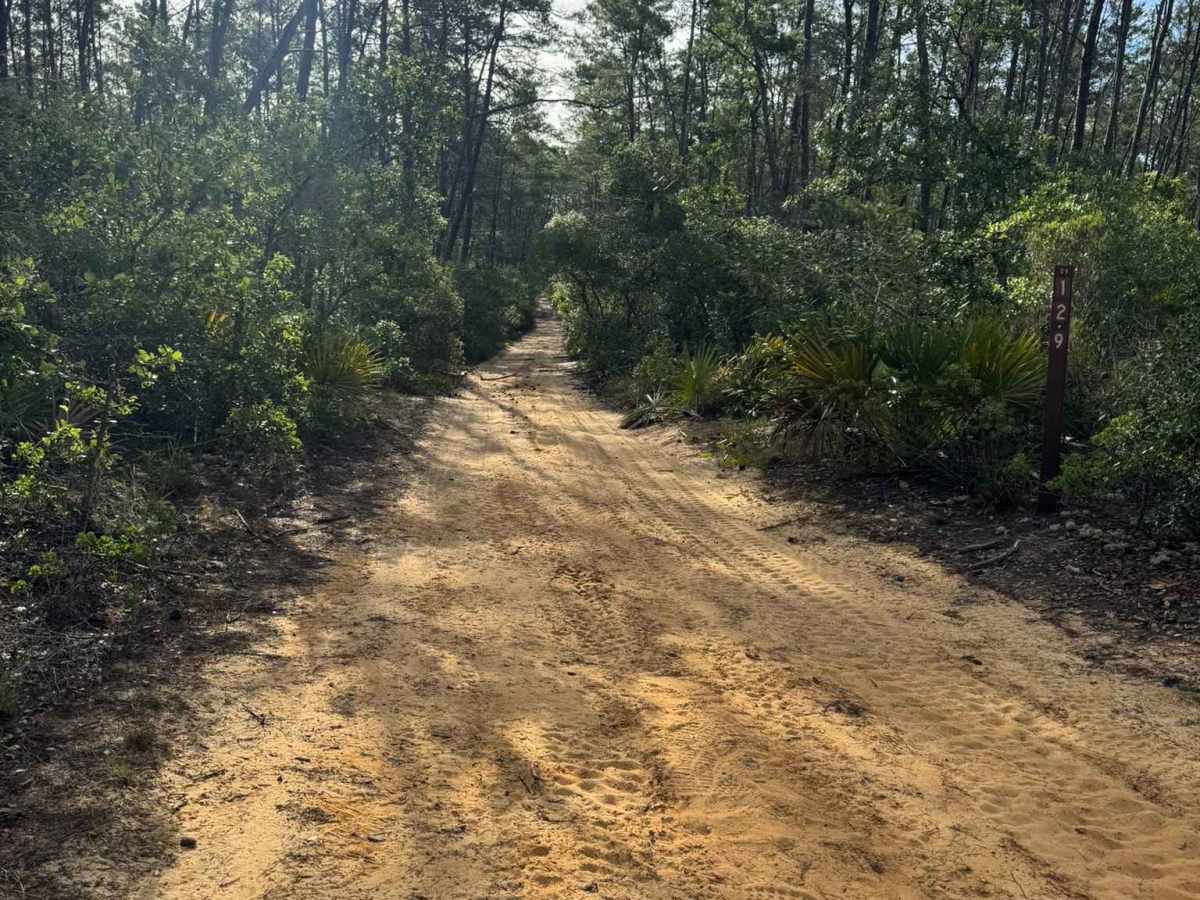 Pinstripe Run trail photo