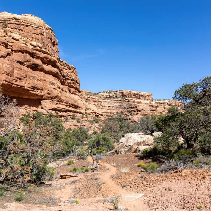 Near Trail Canyon