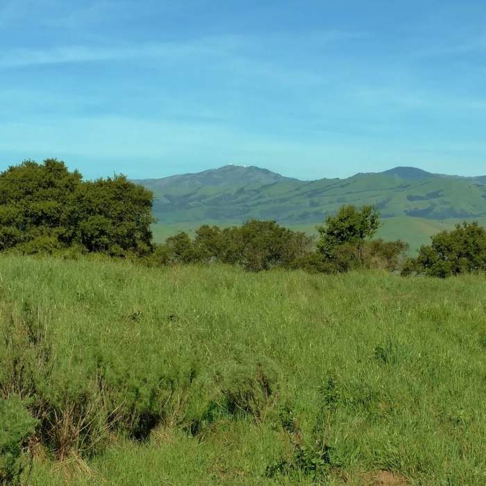 Near Vista Loop