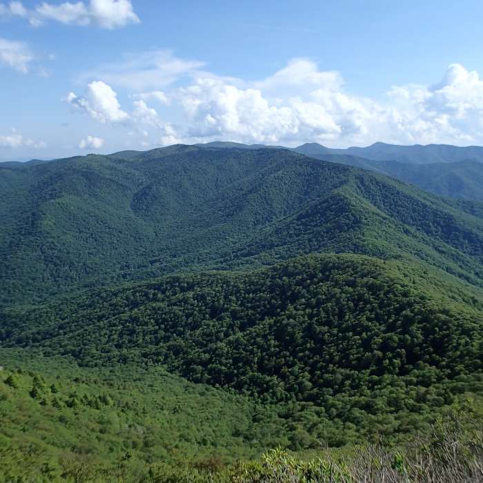 Near Cold Mountain Trail