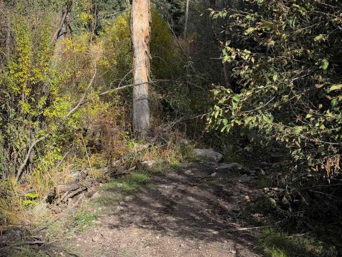 Middle Quartz Trail - FS 622  photo 5