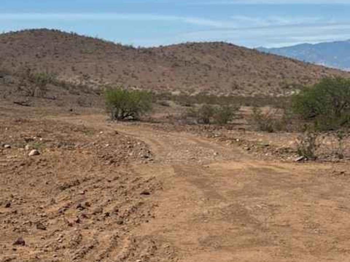 BLM PE1025 photo 4