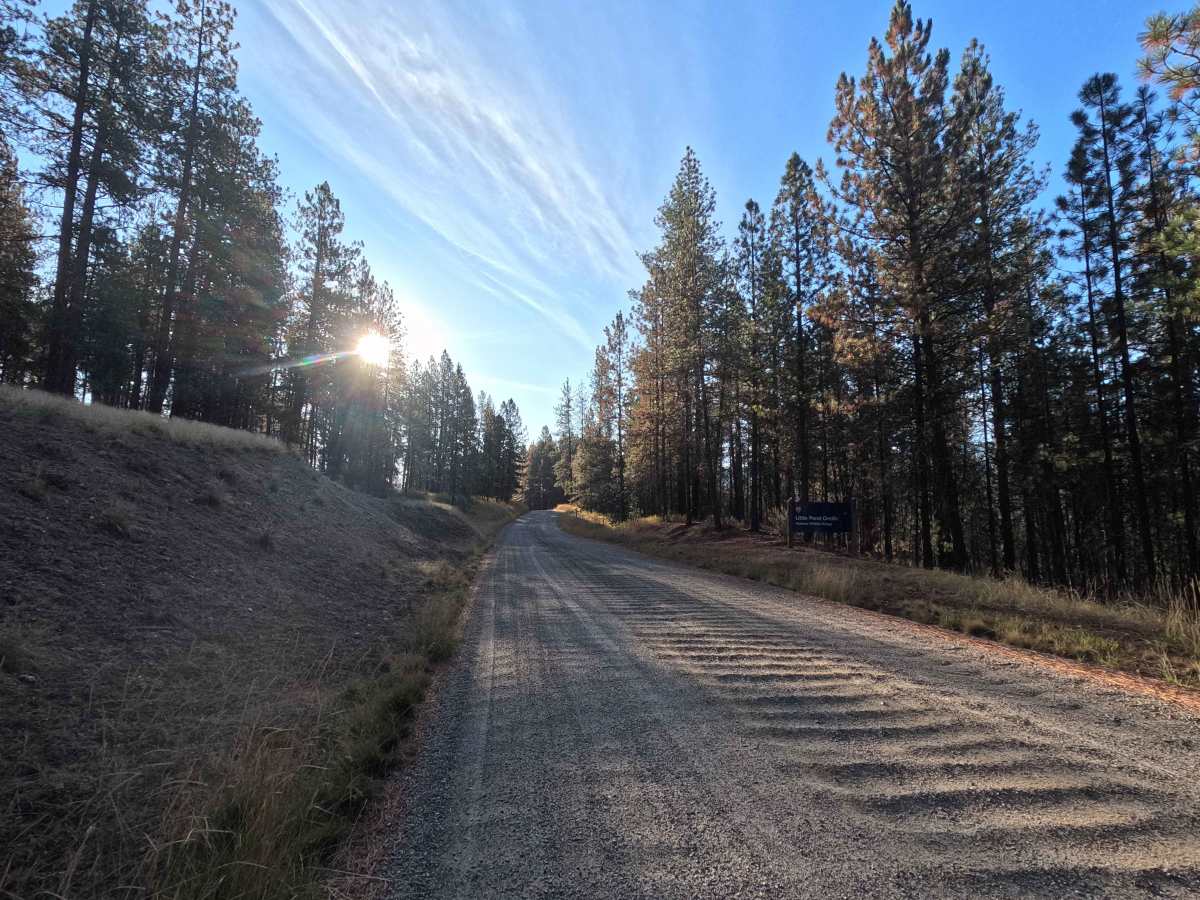 Bear Creek Road photo 3