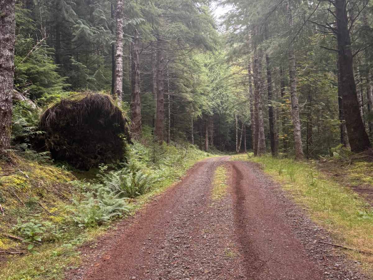 FRC 1200 trail photo