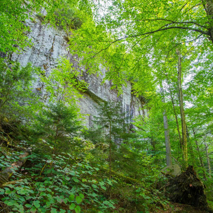 Near Rainbow Falls on the Adirondack Mountain Reserve Near Rainbow Falls on the Adirondack Mountain Reserve