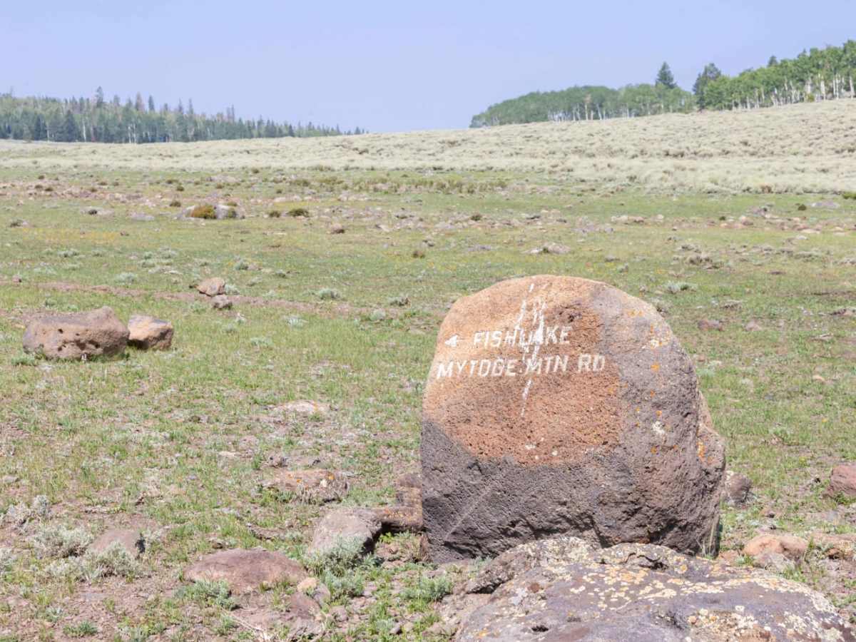 South Mytoge photo 5