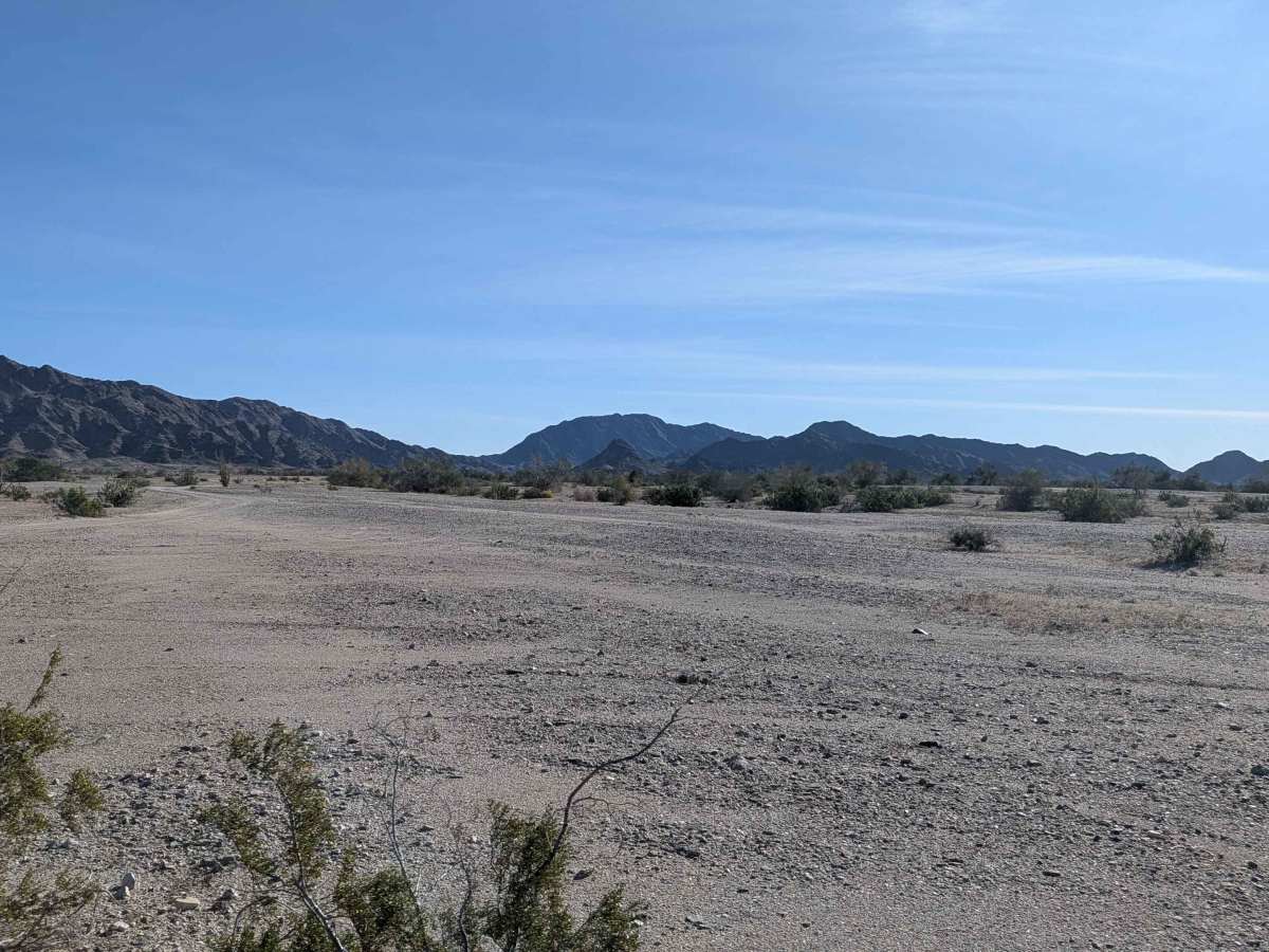 BLM 668 photo 3
