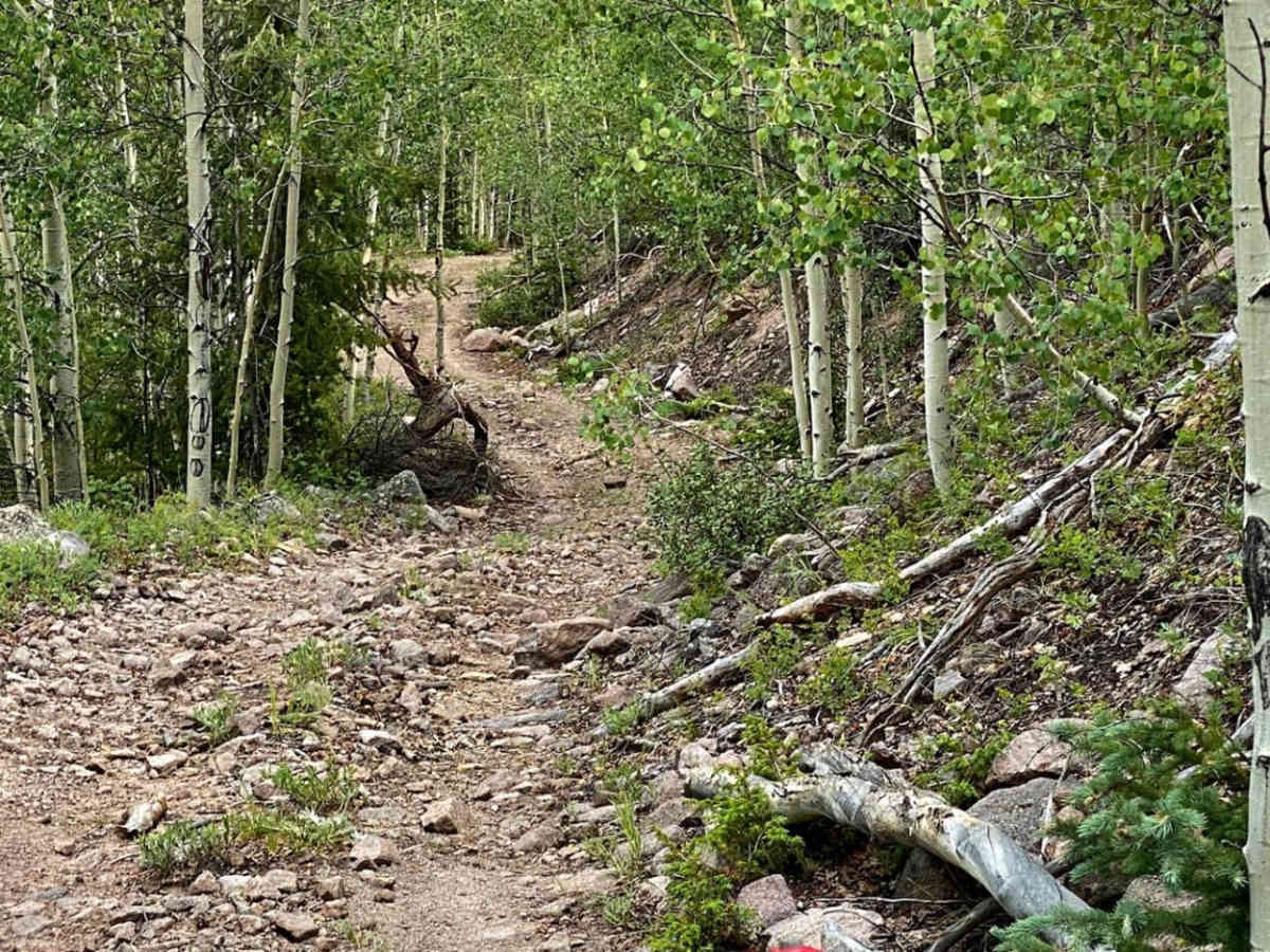 Middle Rat Creek Road - NF 504-1B photo 4
