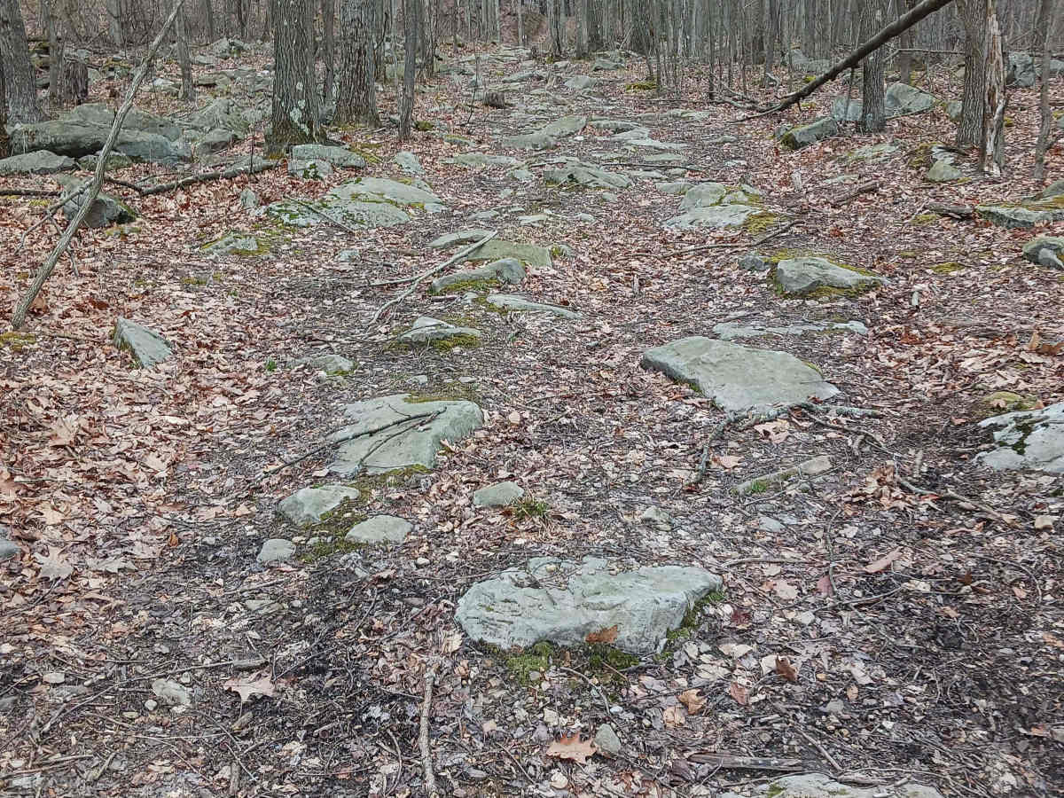 OHV 54 - Rock Run Recreation Area photo 4