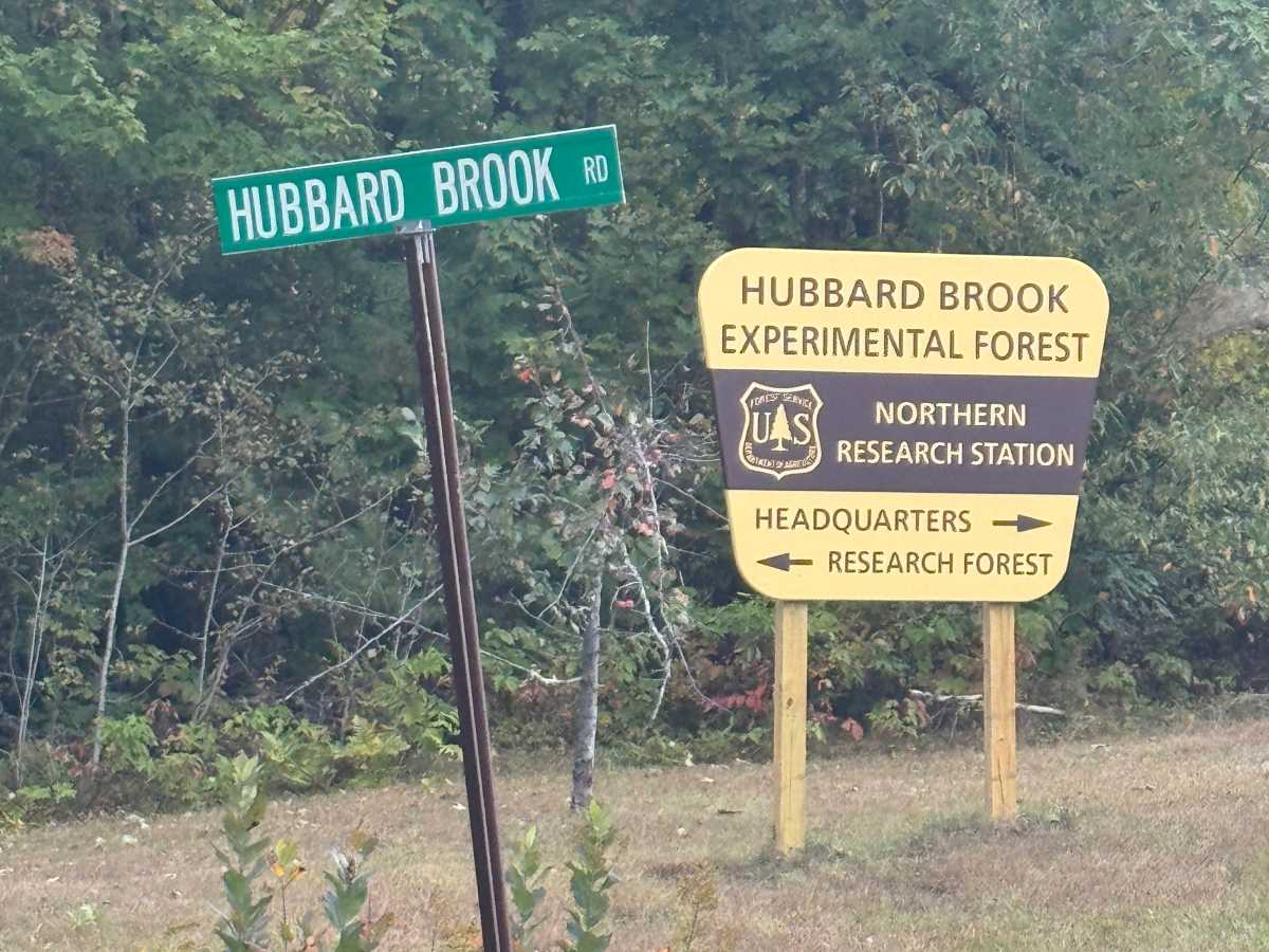 Hubbard Brook Road  photo 2