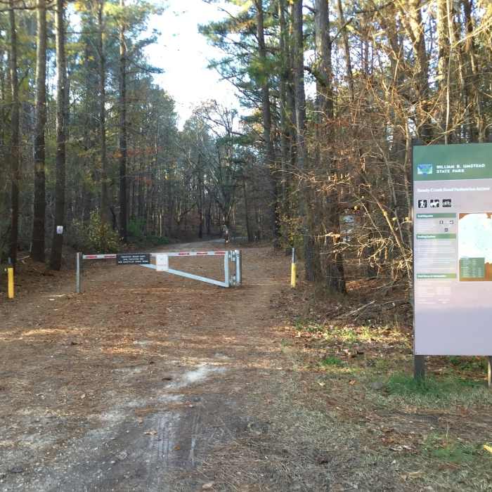 Near Reedy Creek Trail
