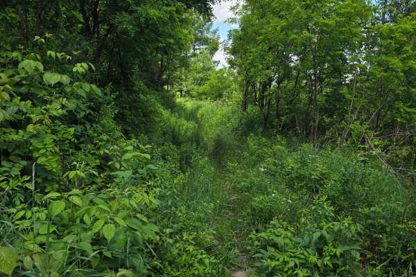 Single Track AB