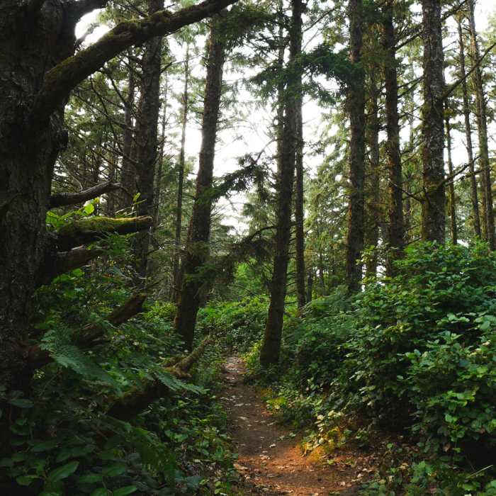 Near North Sand Point Trail
