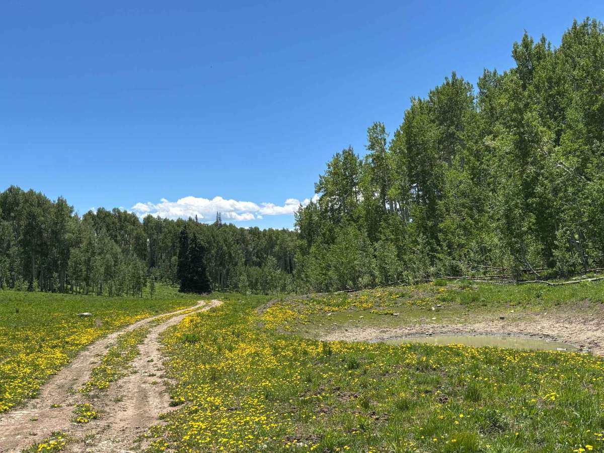 Buttermilk Road photo 5