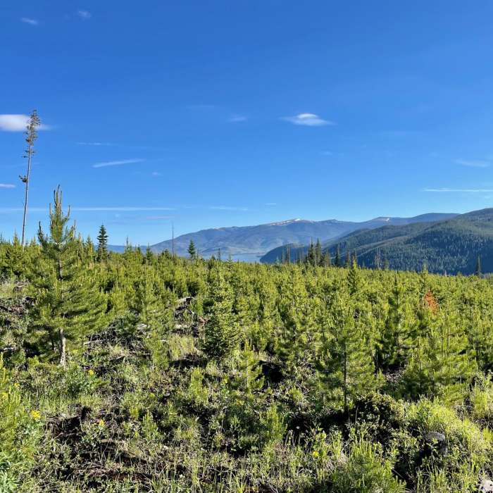 Near Continental Divide Trail: Colorado Section 27