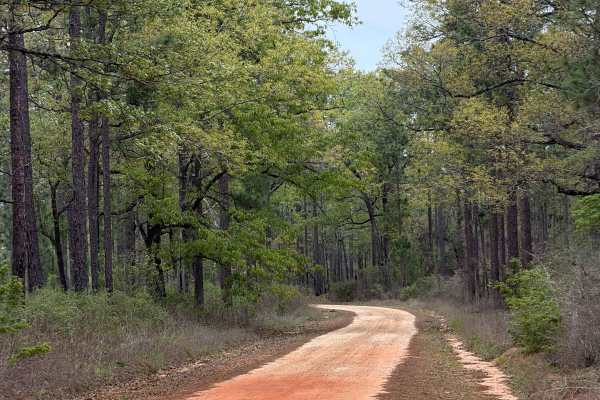 Cemetery Road