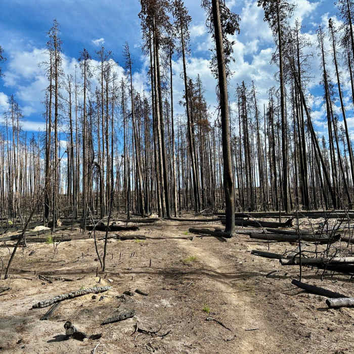 Near Continental Divide Trail: Montana-Idaho Section 13