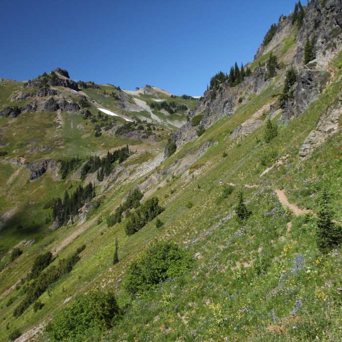 Goat Ridge Trail #95 | Hiking Trail Maps, Difficulty, Trail Status | onX