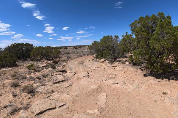 Coal Bank Loop