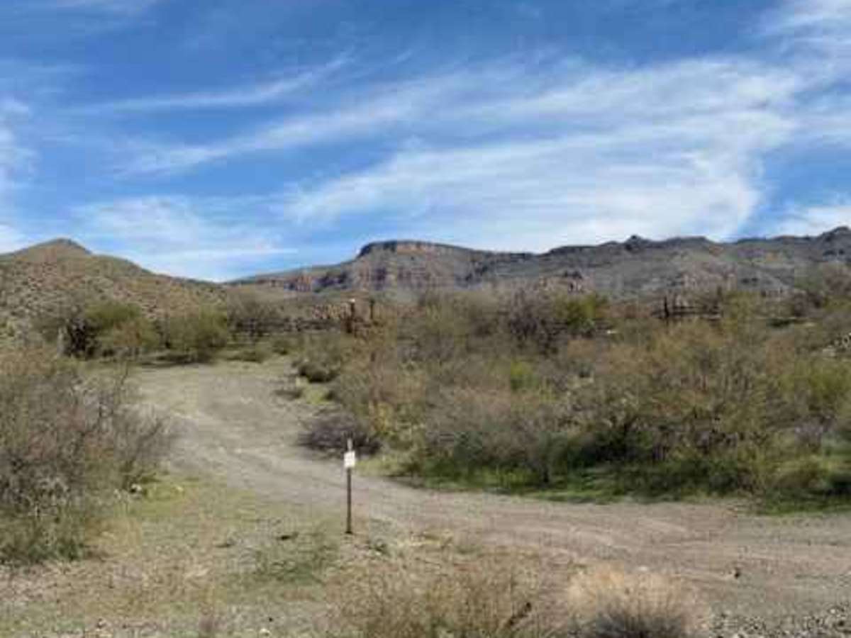 Cowboy Miller Road photo 4
