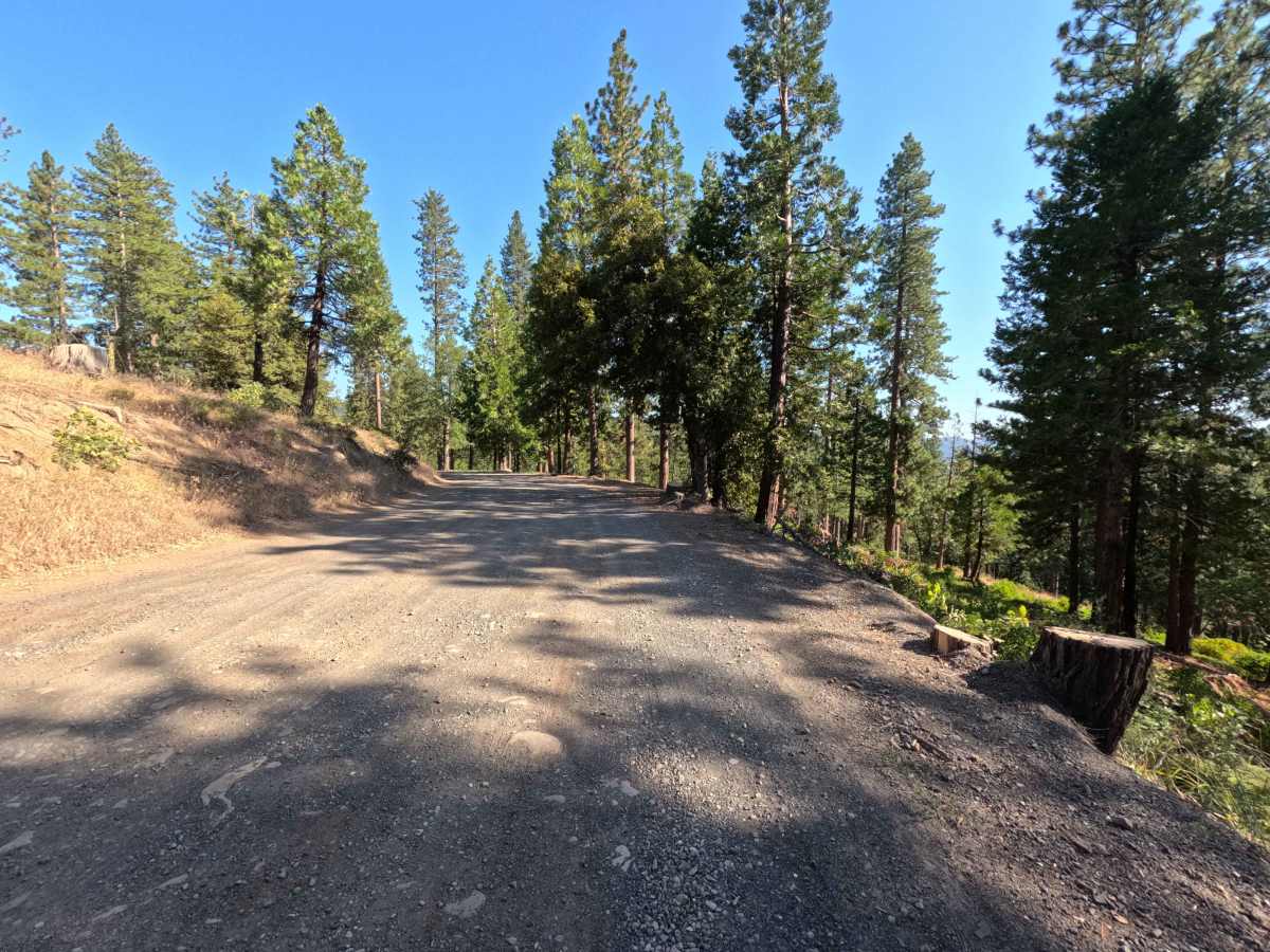 FS 4N95 trail photo