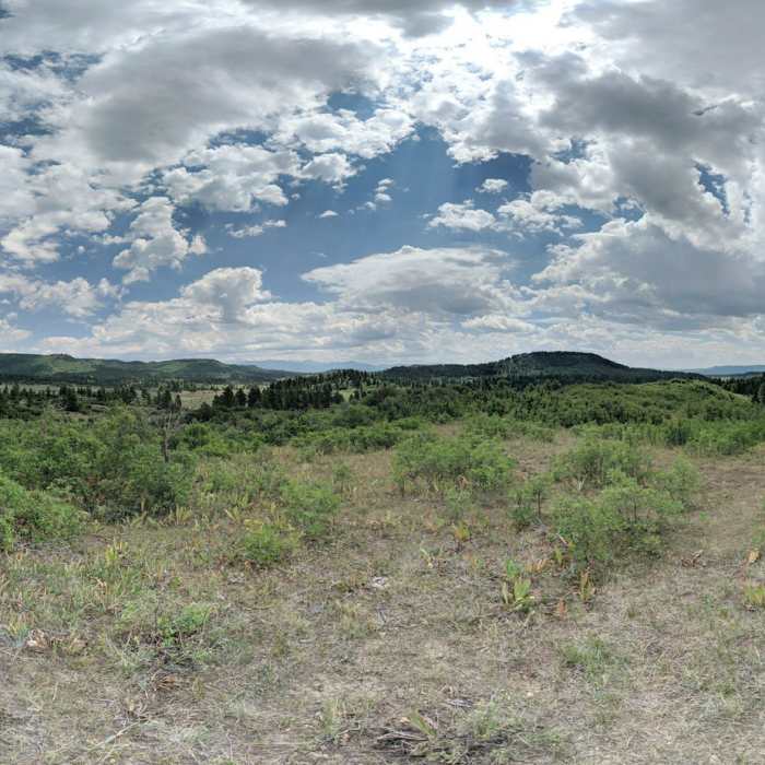 View from the top Near Coyote Hill Loop (314)