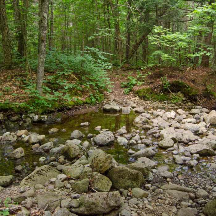 Near Rocky Falls Near Rocky Falls