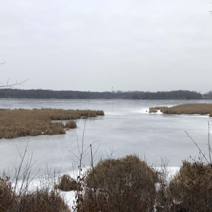 View of Stone Lake from the observation area. Near Carver Park Reserve - Lowry Nature Center