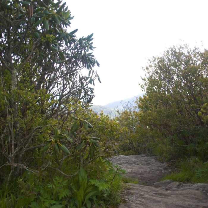 Near Craggy Pinnacle Near Craggy Pinnacle