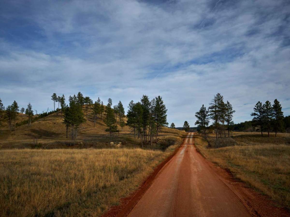 Ten Mile Creek Road photo 2